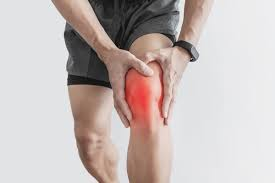 <p>kneecap</p>