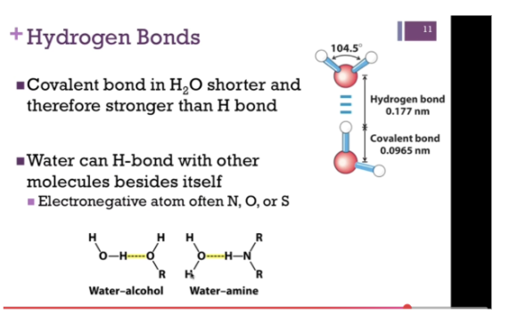 <p><span style="background-color: transparent;">Hydrogen atom between two EN elements.&nbsp;</span></p>