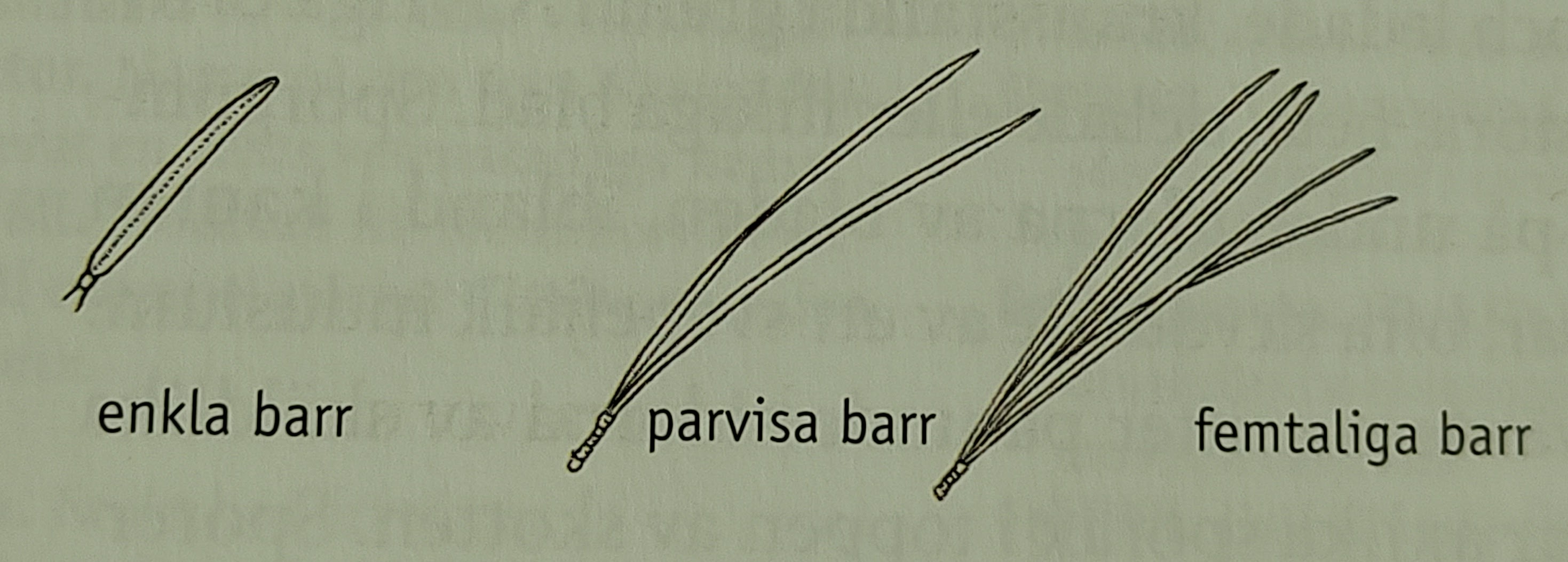 <p></p>