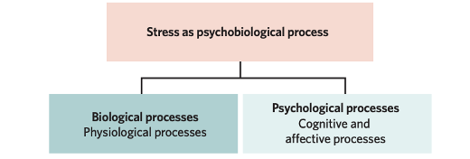 <p>A psychobiological process as stress responses involves both psychological &amp; biological aspects.</p><p>(biological aspects include immune system functioning and the release of hormones)</p><p>GAS explains the various biological/physiological reactions that occur in the presence of stressors, but not psychological. </p>