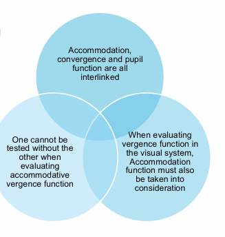 <p>Accommodation and vergence systet are <strong>closely linked systems</strong>, which interact to keep things single and clear, especially during near vision. If we increase convergence, we will also increase accommodation!!! </p><ul><li><p>Near target → accommodation increases to keep the image clear.</p></li><li><p>Near target → convergence increases to keep the image single.</p></li></ul><p></p><ul><li><p>one <strong>cannot </strong>be tested without the other when evaluating function!! </p></li></ul><p></p><p></p><p></p><p><strong>Accommodation and vergence systems are assessed using the same four clinical domains</strong></p><ul><li><p>posture</p></li><li><p>amplitude</p></li><li><p>range/reserves</p></li><li><p>facility</p></li></ul><p></p>