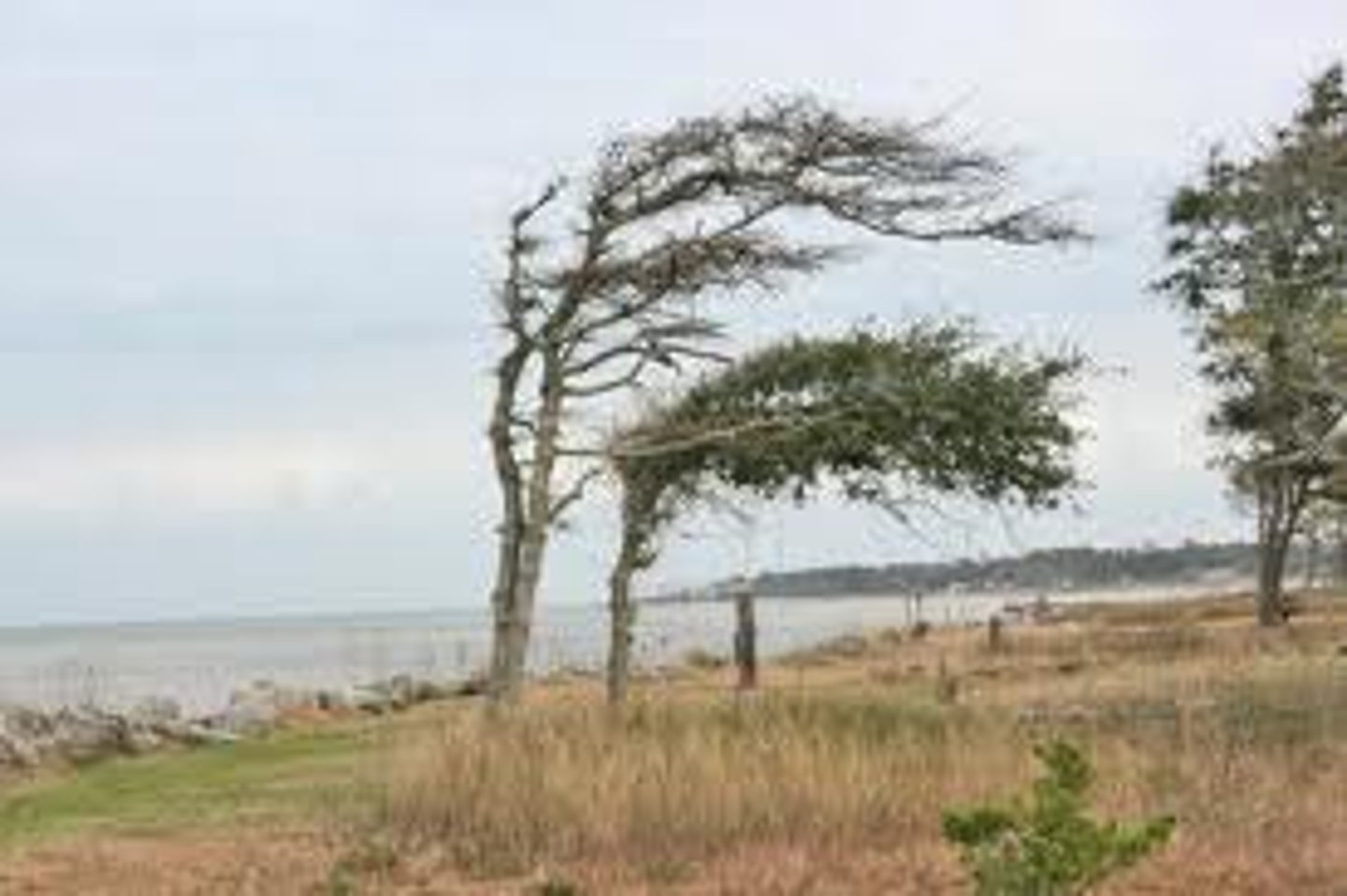 <p>(n) windstorms</p>