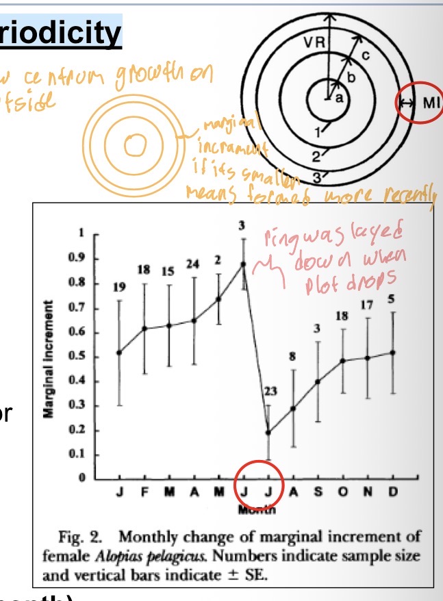 <p>Relative Marginal Increment analysis RMI or Marginal Increment Ratio (MIR)</p><ul><li><p>measurement of distance from last band to centrum edge for each month → bc new centrum growth is on outside edge of centrum</p></li><li><p>If distance is very small then last band was recently laid down</p></li><li><p>If distance is large then last band was laid down months ago </p></li><li><p>On marginal increment plot over time, the ring was layed down when the plot drops </p></li><li><p>Tells us that this ring was laid down between June &amp; July, and theres one band per year</p></li></ul><p></p>
