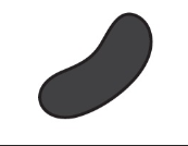 <p>Name the cell shape</p>
