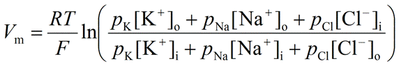 <p>Allows us to calculate RMP by looking at individual ion contribution</p>