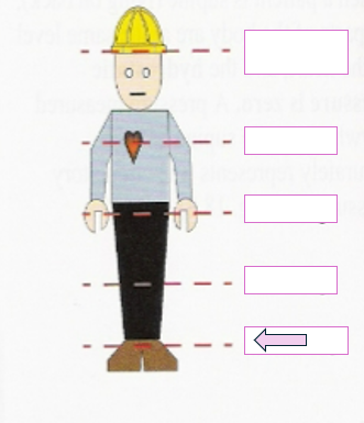 <p>When standing, the hydrostatic pressure at the indicated level is approximately ___mmHg</p>