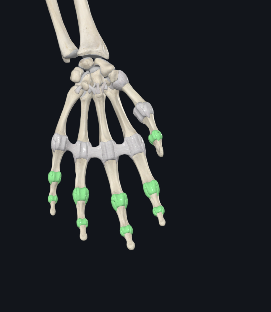 <p>What are these joints?</p>