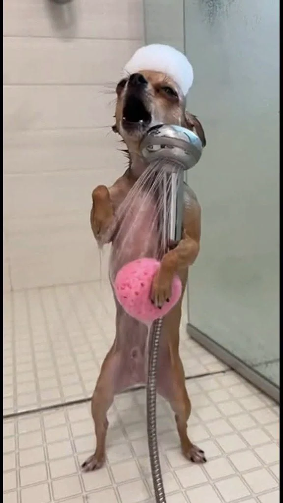 <p>Take a shower</p>