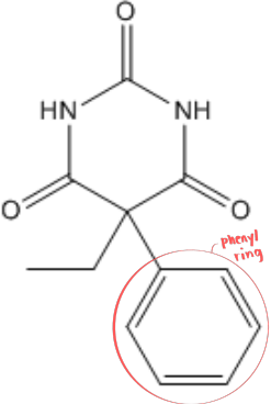 <ul><li><p>Long-acting</p></li><li><p>Anticonvulsant</p></li></ul><p></p>