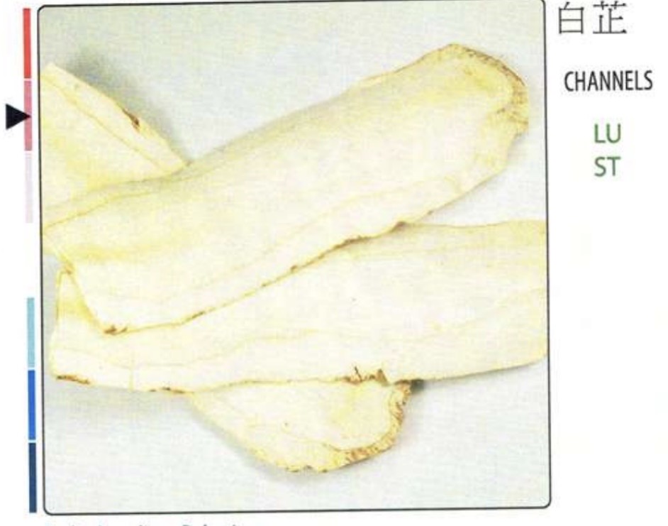 term image