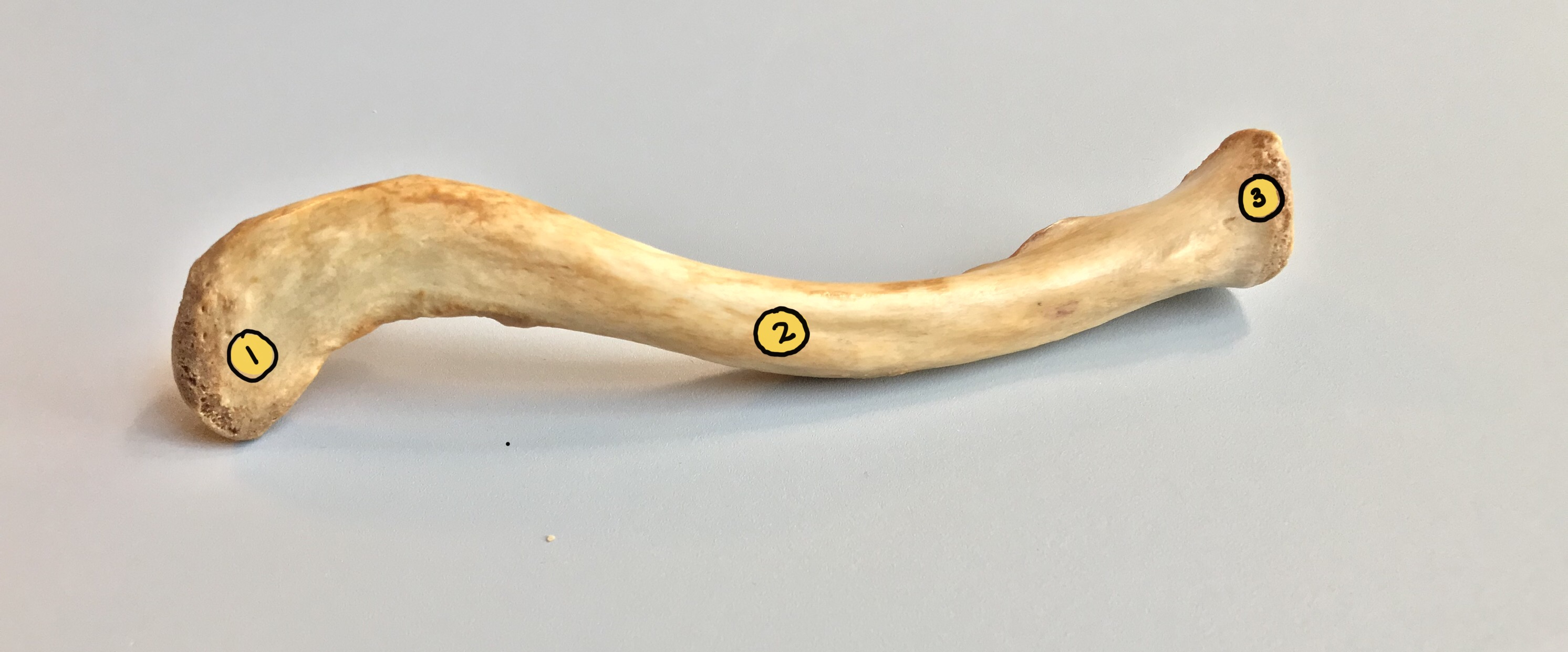 <p>1</p>