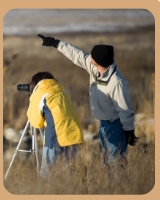 <p>the activity of observing birds</p>