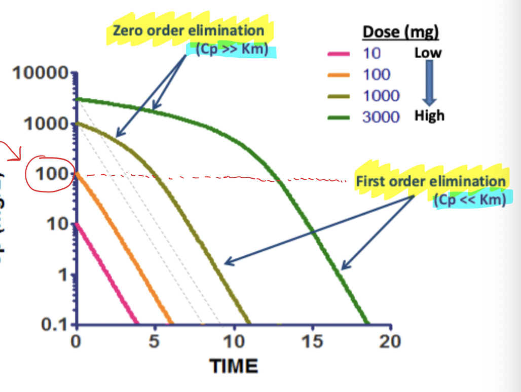 <ul><li><p>Km can be estimated when rate changes from zero to first order </p></li><li><p>Curve starts at zero order → maximum rate regardless of concentration</p></li><li><p>Once drops below Km → first order kinetics</p></li></ul><p></p>