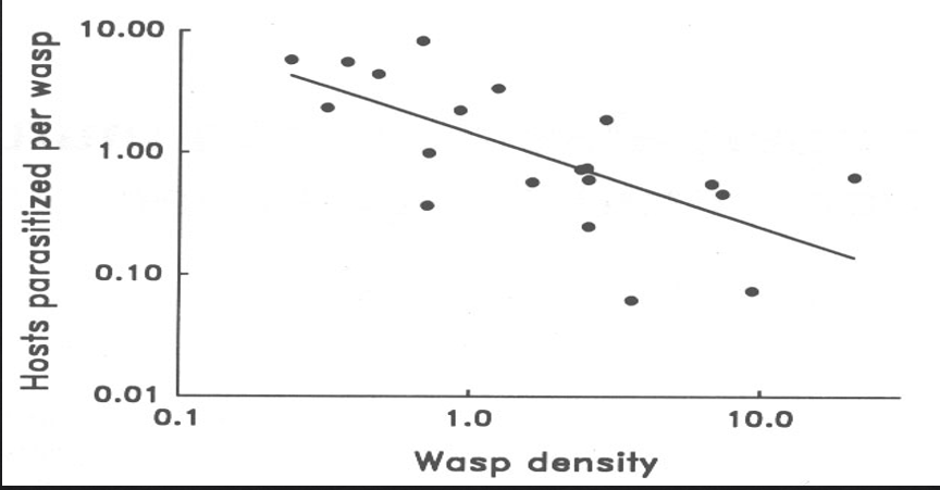 <p>When predator density gets high, predators start interfering with each other — competing for the same prey, defending territories, or simply getting in each other's way.</p><p>density dependent </p>