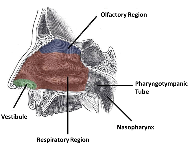 <p>[Image]</p>