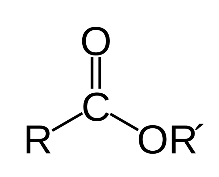 <p>carbonyl group, has an oxygen bonded to the C=O</p>