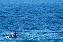 <p>ocean</p>