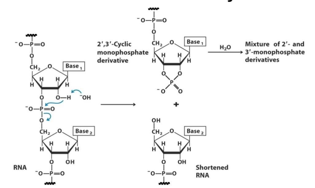 <p>what is this reaction?</p>