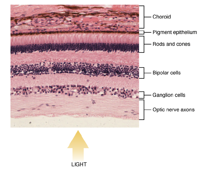 <p>What is this?</p>