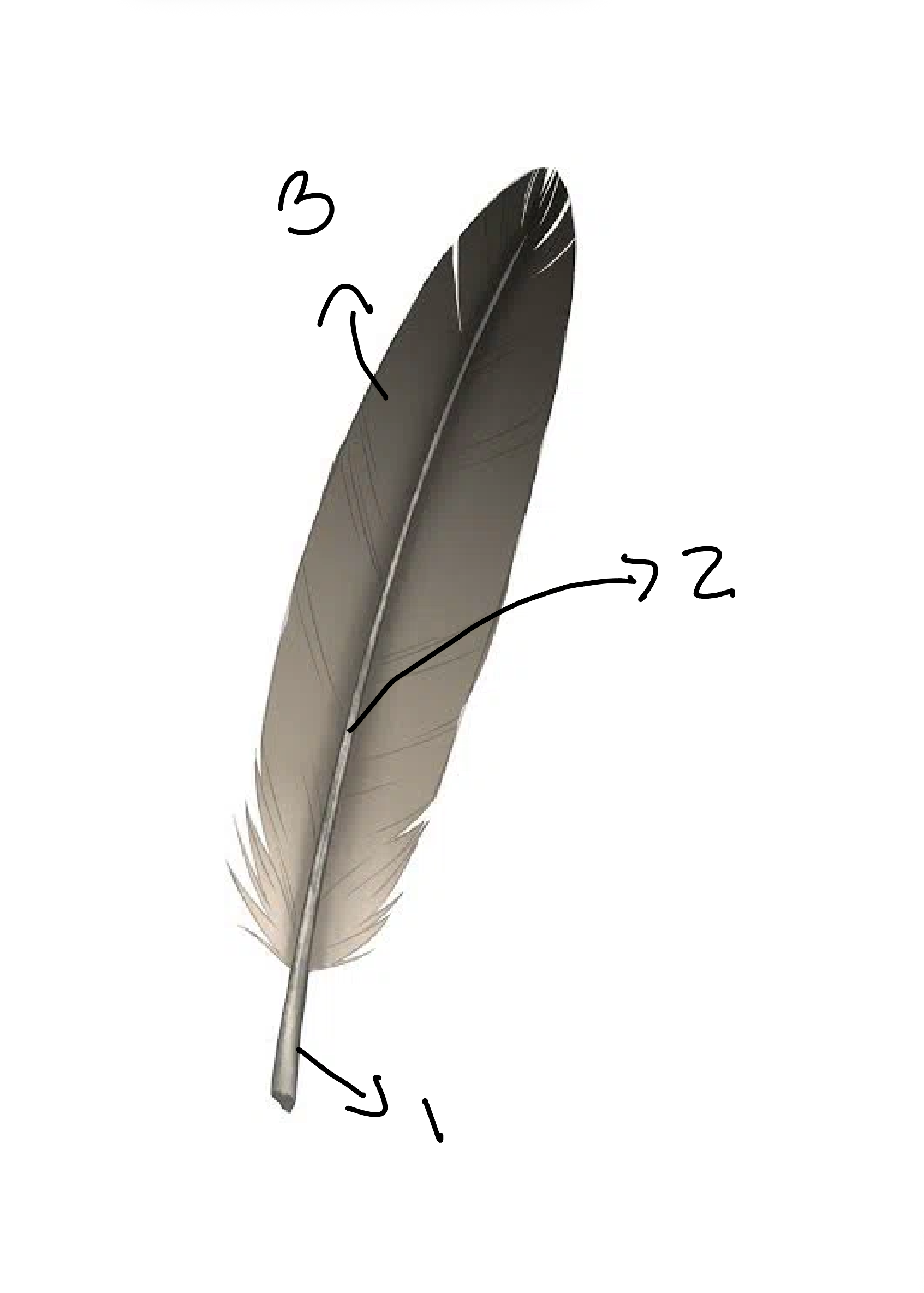 <p>What is 3?</p>