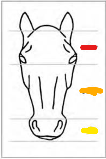 <p>Red</p>