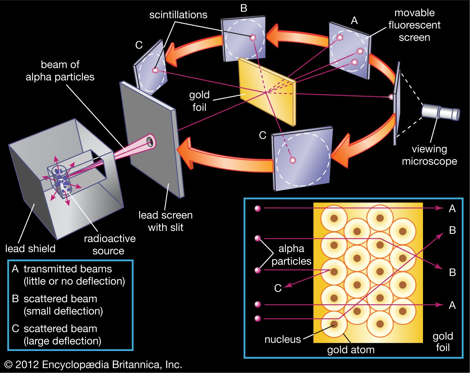 <ul><li><p>α- particle scattering experiment</p></li></ul><p></p>