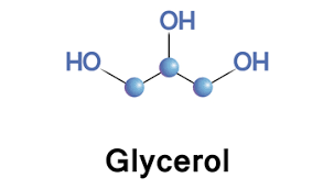<p>Glycerol</p><ul><li><p>versitiles sugar alcohol that is used as a swetener</p></li></ul><p></p>