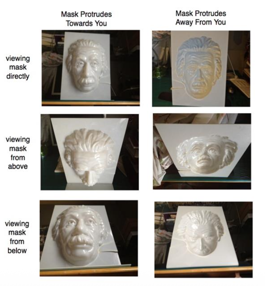 <p><u>Combining Depth Cues: Illusions</u></p><p>Hollow Face Illusion</p><p class="p2">• A concave mask appears __.</p><p class="p3">• __ cues conflict with depth perception.</p><p class="p2">• The brain resolves ambiguity in favor of __ 3D Facial structure.</p><p class="p2">• Drunk, high, or schizophrenic? Probably <u>won’t see the illusion/will see the illusion clearer.</u></p>