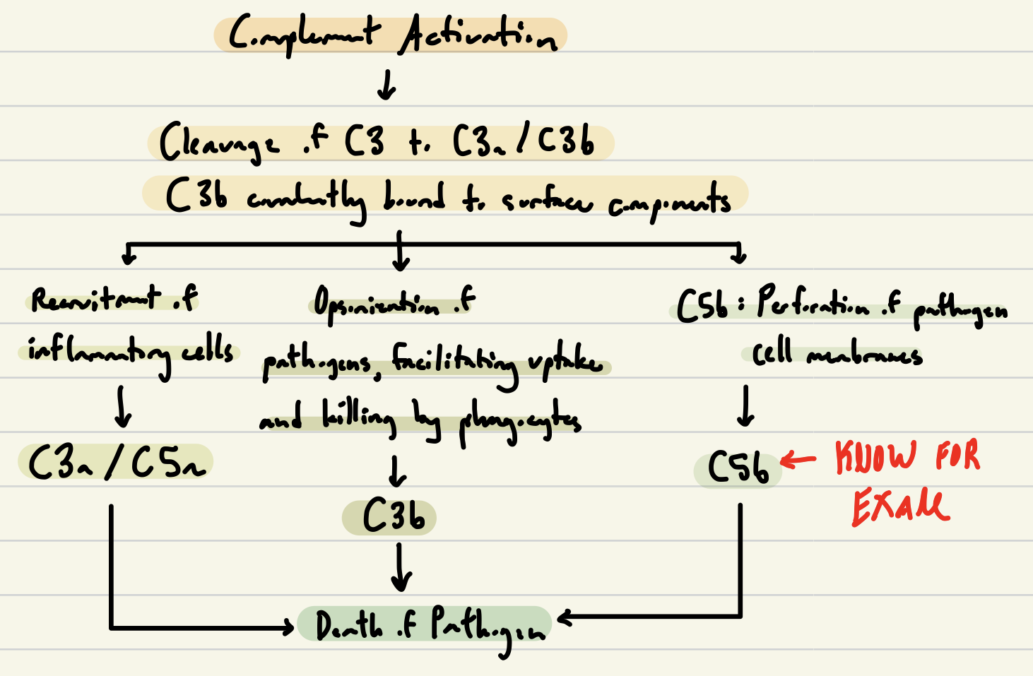 knowt flashcard image