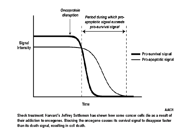 <p>different rates of decay of proliferative and death signal emanating from the same oncogene </p>