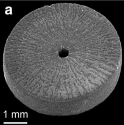 <p>Flat facets (stiff)</p>