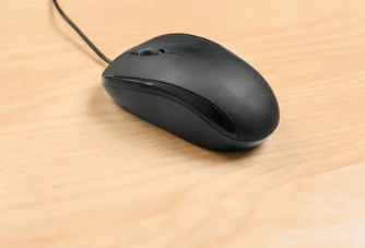 <p></p><p></p><p></p><p>A thing that you use to click in links or browse in internet,and have name of a animal</p><p></p>