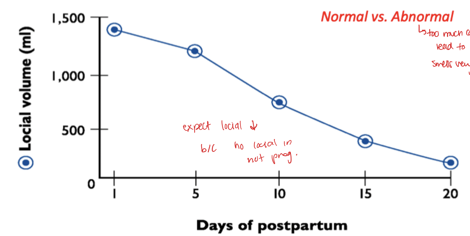 <p>Normal vs abnormal </p><ul><li><p>Abnormal too much contamination and smells very bad </p></li></ul><p>As postpartum goes on expect lochia to decrease because not pregnant anymore </p><p></p>