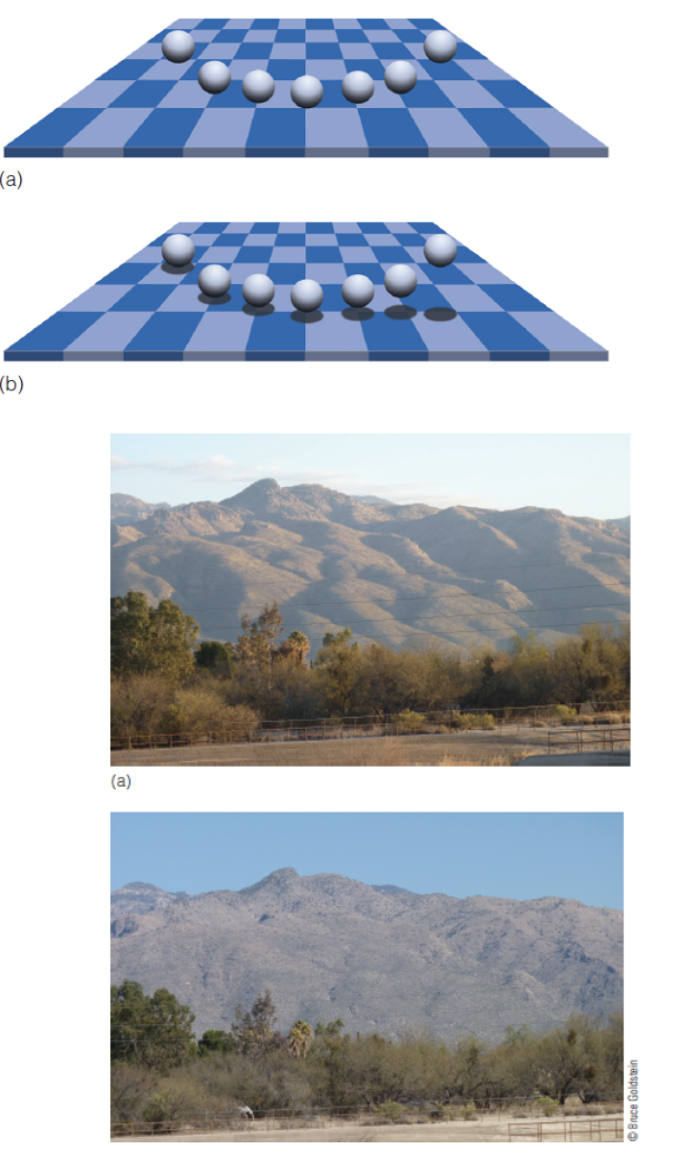 <p>light source.</p><p>farther.</p><p>darker. reduced illumination.</p><p>light directly overhead / close.</p>
