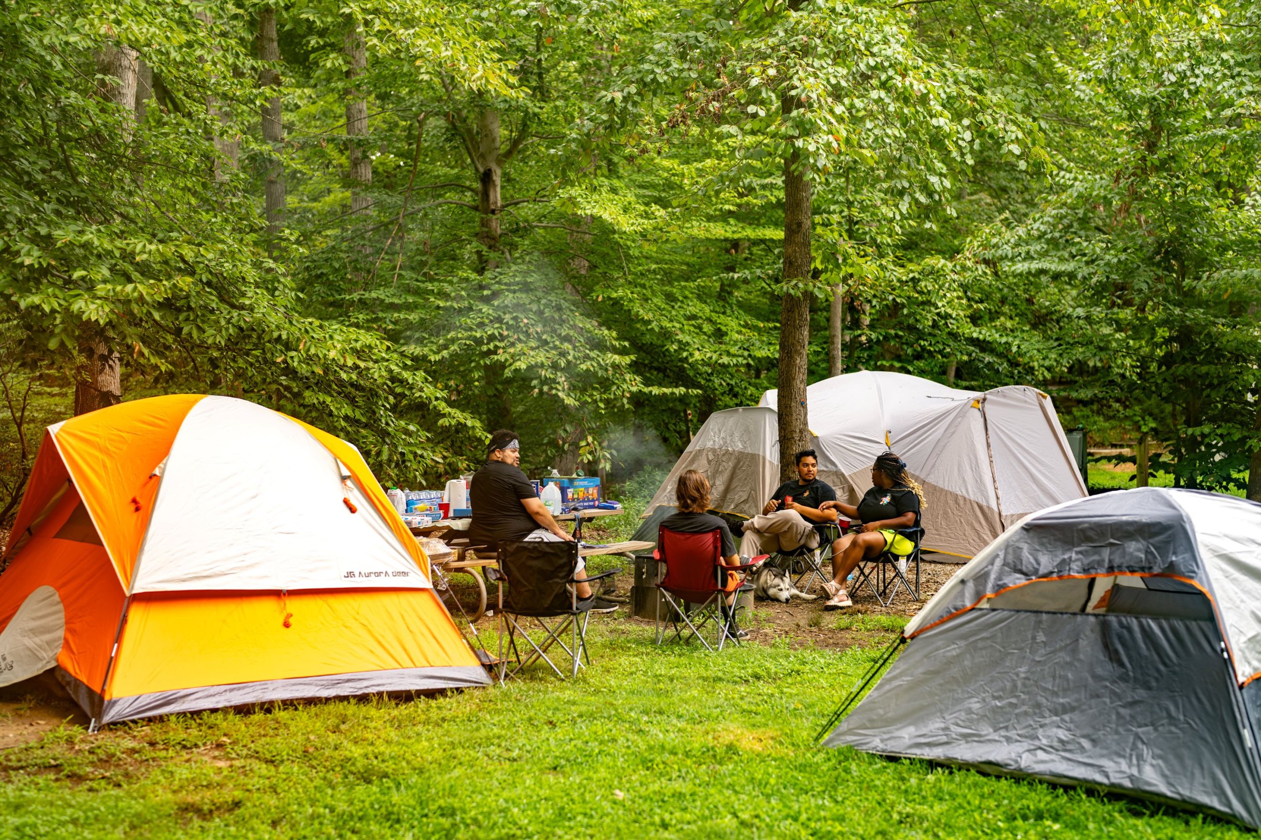 <p>To camp</p>
