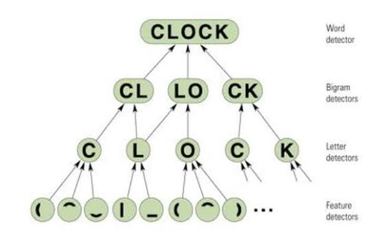 <p>A hierarchical network of mental "detectors" used to explain how the human brain recognizes patterns, letters, and words.Starts from bottom-up</p>