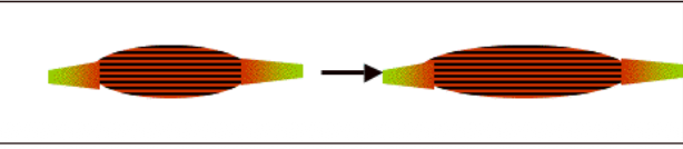 <p>The ability to stretch without damage</p>