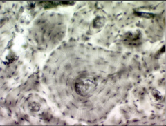 <p>What does this image show?</p>