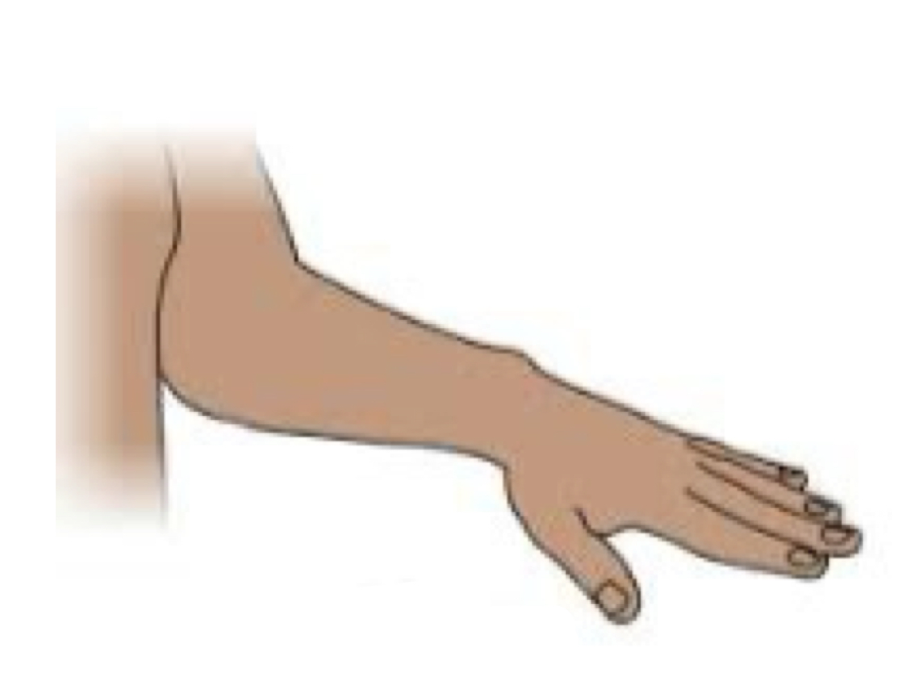<p>name the muscle action</p>