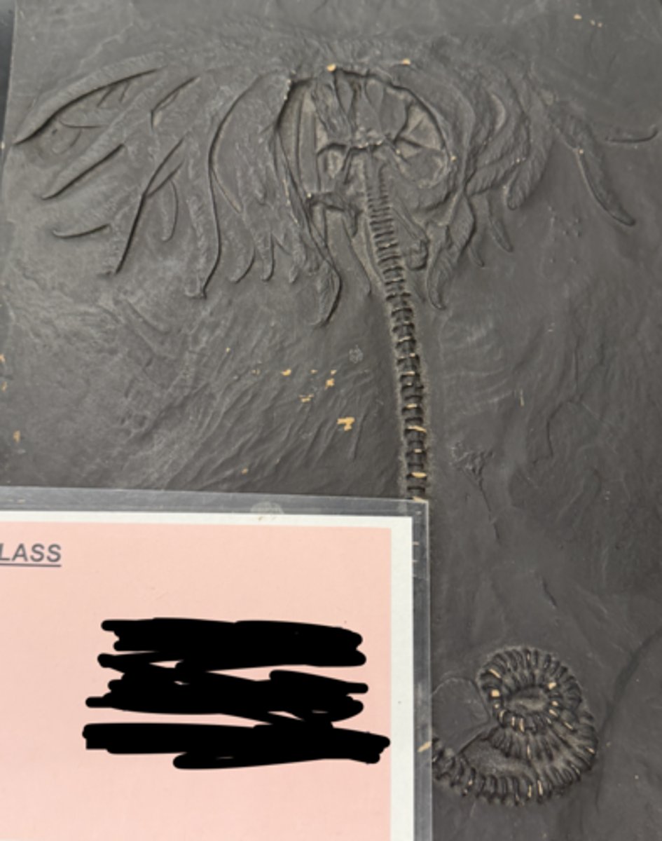 <p>class</p>
