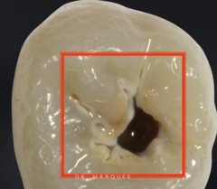 <p>What is the classification?</p>