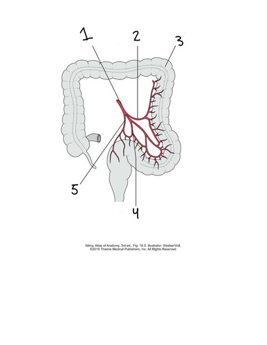 <p>what is 1</p>