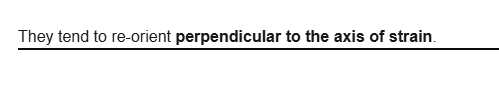 <p><strong>perpendicular to the axis of strain</strong>.</p>