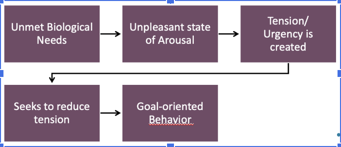 <p><span style="background-color: transparent;">Behavior is motivated by internal biological needs. For example, the iphone ad emphasizes the camera, and the word pro. Apple is trying to convince the consumer that they <em>need </em>this new phone and that they need this new camera. They are creating a tension that will drive the consumer to consume. </span></p>