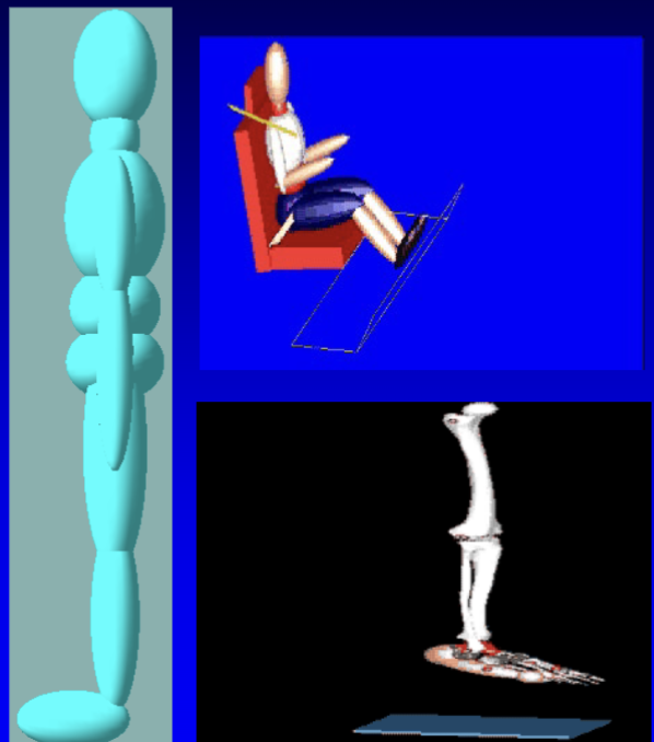<p>systematic, quantitative measurements of the size, shape, and physical characteristics of the human body, needed to build models. </p><p>Empirical science concerned with physical static and functional/dynamic dimensions of human body</p>
