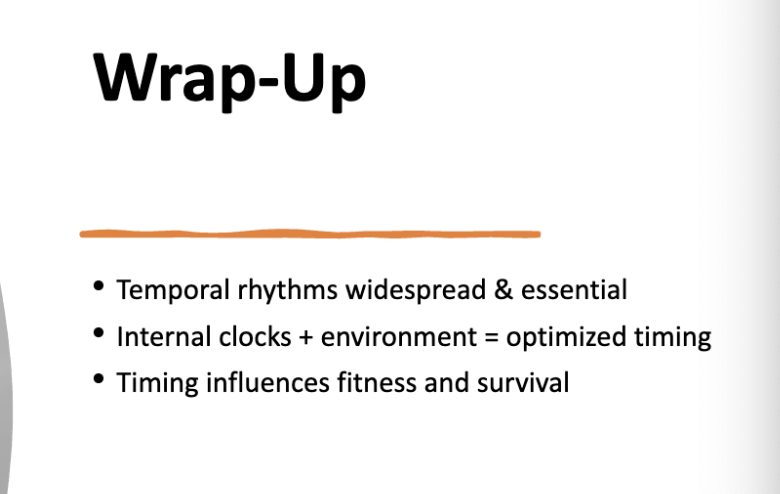 <p>wrap up info card</p>