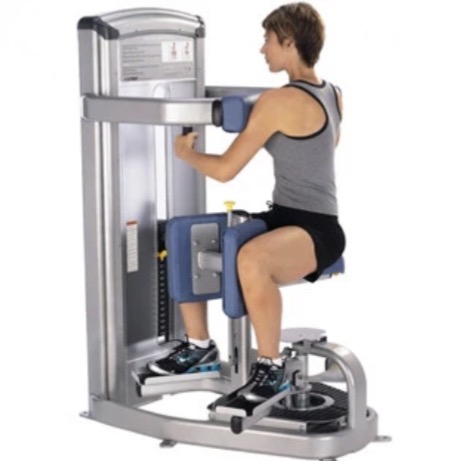 <p>Torso rotation machine target muscle and joint action </p>