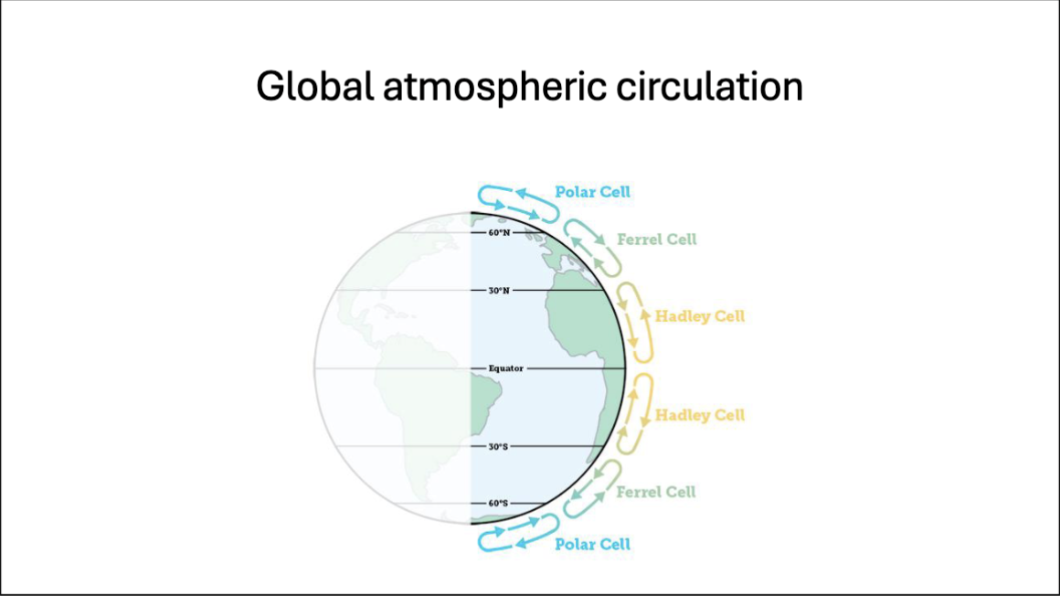 <ul><li><p>Warm and cold air masses meet between Hadley, ferrel and polar cells, which generates uplift and the turbulent, spinning storms that sweep sinuously from west to east through the middle latitudes</p></li></ul><p></p>