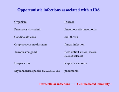 <ul><li><p>spike in virus, mount immune response, begin eliminating virus, virus stays in not quite latent stage (latent implies dormant, but the virus is actively replicating, but at very low levels) </p></li><li><p>antibodies against HIV made </p></li><li><p>HIV-specific CTLs </p></li><li><p>eventually, viral numbers increase, leading to susceptibility of opportunistic pathogens </p></li><li><p>all opportunistic pathogens are dealt with through cell-mediated immunity, which is what is deficient in HIV patients </p></li></ul><p></p>