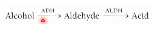 <p>ALCOHOL</p><p>Principle</p><p>pharmacologic</p><p>function</p><p>- <strong>CNS depressant</strong></p><p>- <strong>Increases heart rate</strong> and <strong>blood</strong></p><p><strong>pressure</strong></p>